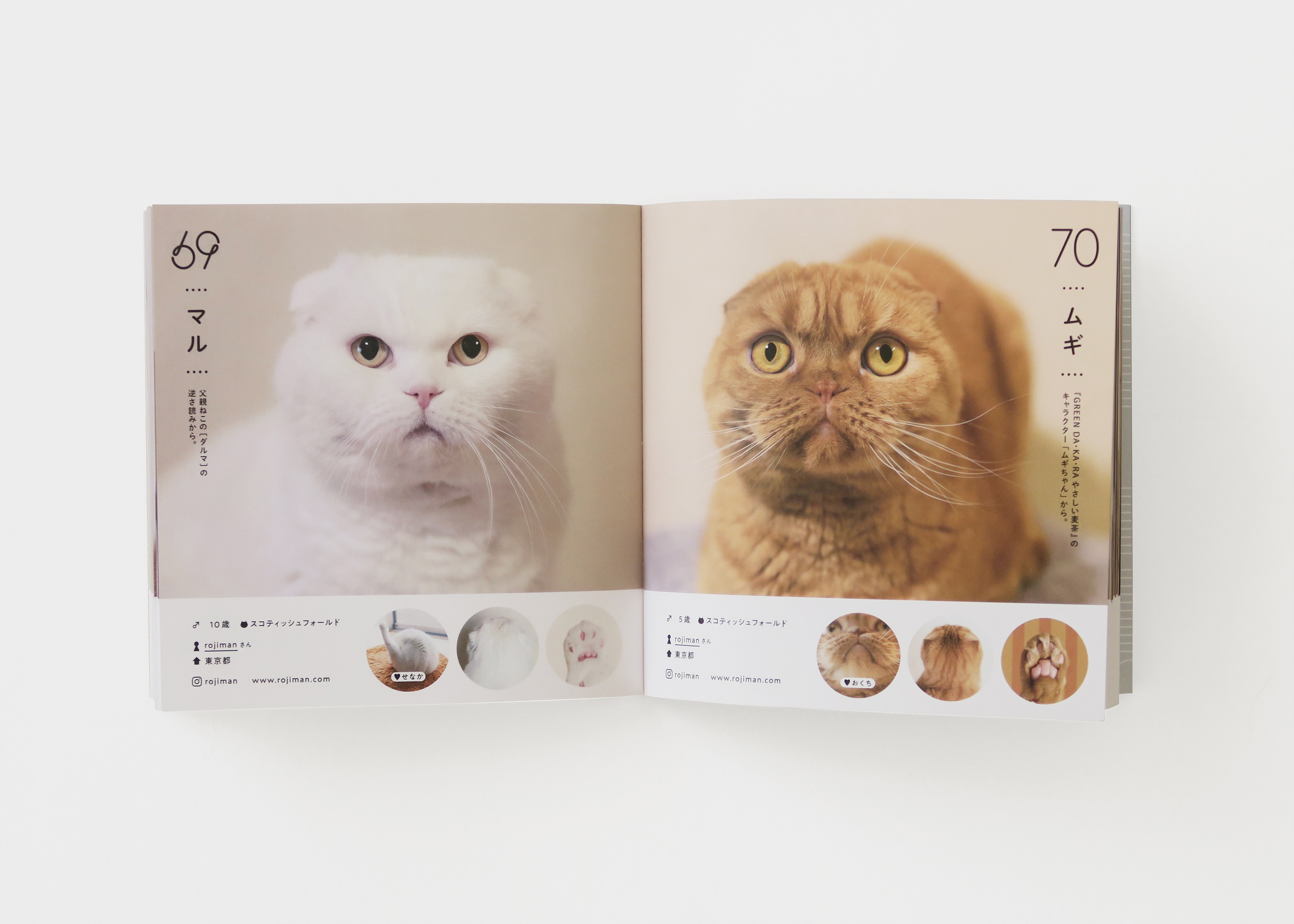 Hiroko Sakai：可愛貓咪寫真集圖冊設計