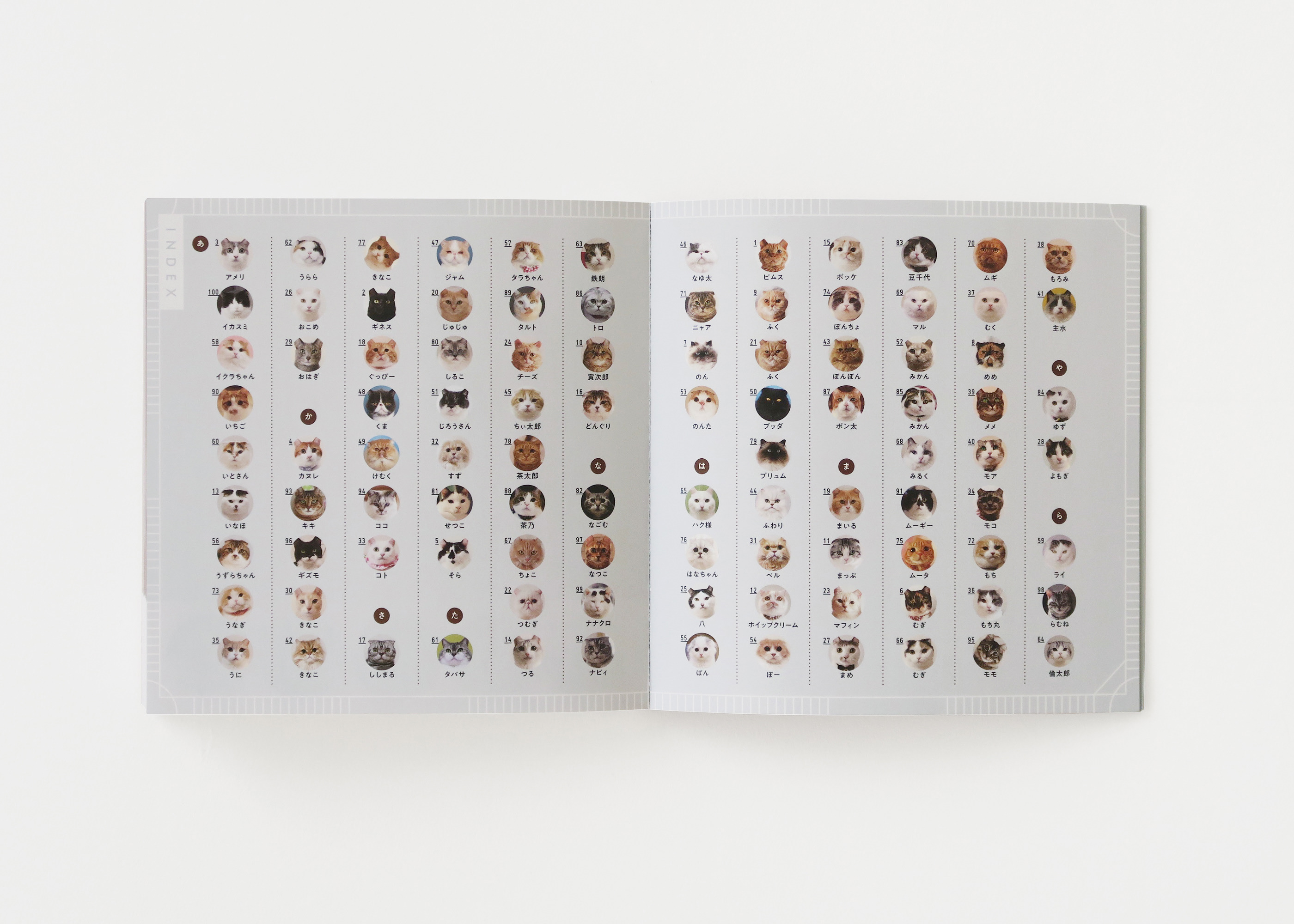 Hiroko Sakai：可愛貓咪寫真集圖冊設計