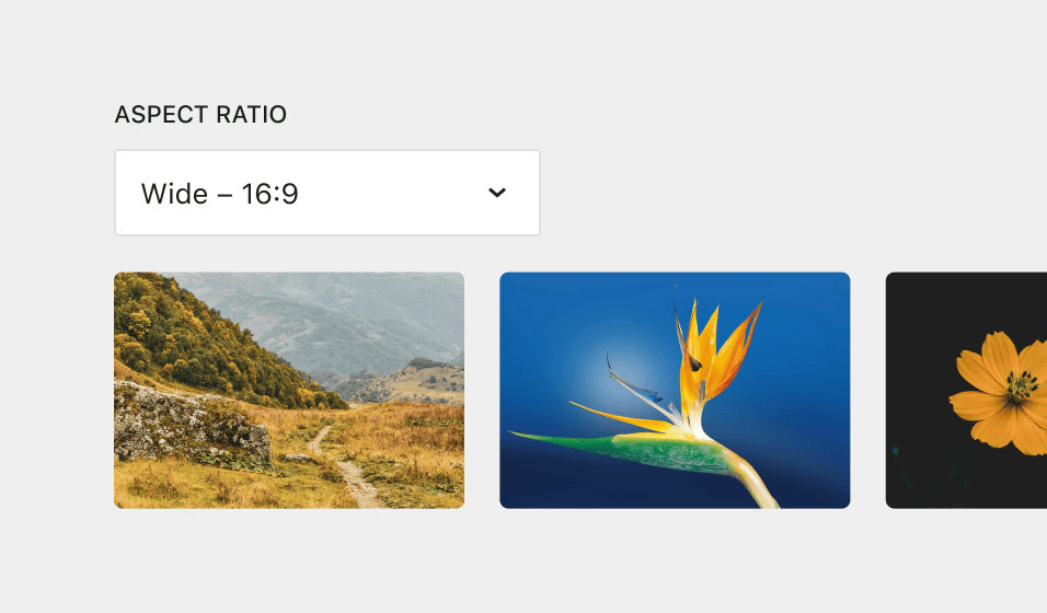 WordPress 6.9 更新:新功能、API、閱讀時間、數學格式 | WordPress 網頁設計 WordPress 6.9 更新:新功能、API、閱讀時間、數學格式 | WordPress 網頁設計